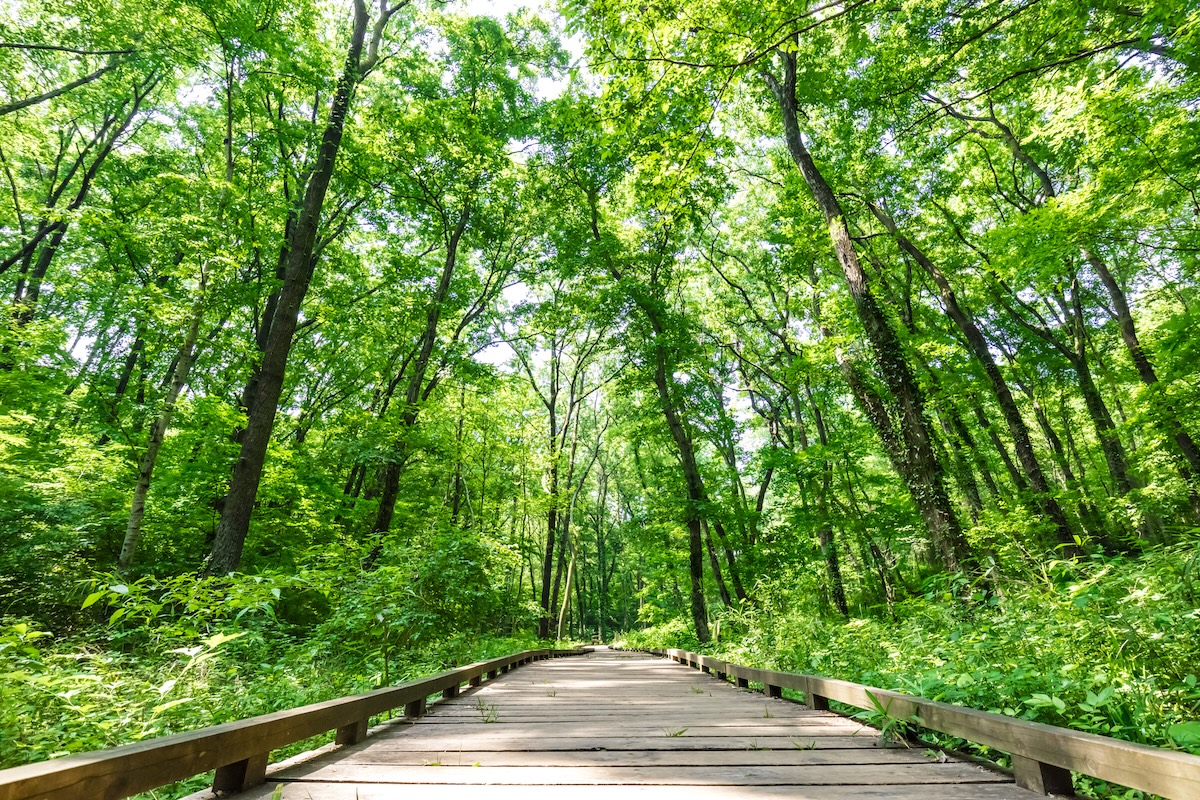 自分に合う 場所 スピリチュアル